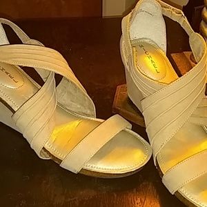 Michael Shannon wedges